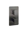 Hix Thermostatic 2 Way Shower Valve Brushed Black