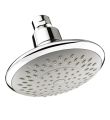 Contemporary Shower Head