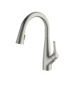 Rosetta Pull Out Spray Filter Mixer Tap Brushed Nickel