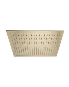 Hix Ceiling Mounted Shower Head Brass
