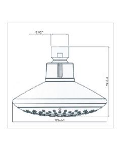 Contemporary Shower Head