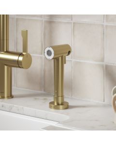 Clearwater Modern Pull-Out Spray Brushed Brass
