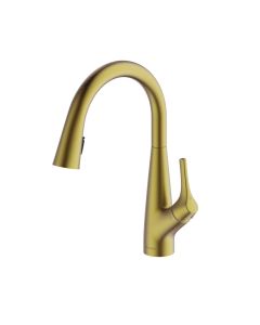 Rosetta Pull Out Spray Filter Mixer Tap Brushed Brass