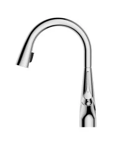 Rosetta Pull Out Spray Filter Mixer Tap Chrome