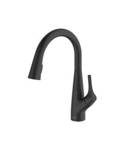 Rosetta Pull Out Spray Filter Mixer Tap Matt Black