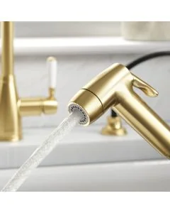 Clearwater Traditional Pull-Out Spray Brushed Bronze