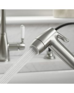 Clearwater Traditional Pull-Out Spray Brushed Nickel