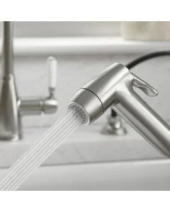 Clearwater Traditional Pull-Out Spray Brushed Nickel