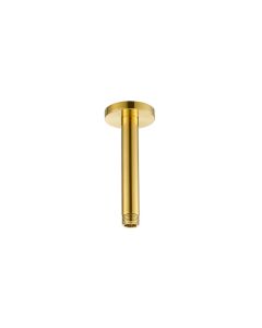 120mm Ceiling Arm Brushed Gold