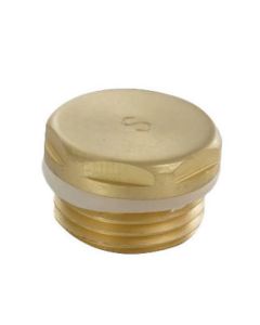 JTP Radiator Blanking Plug Brushed Brass