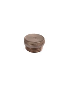 JTP Radiator Blanking Plug Brushed Bronze