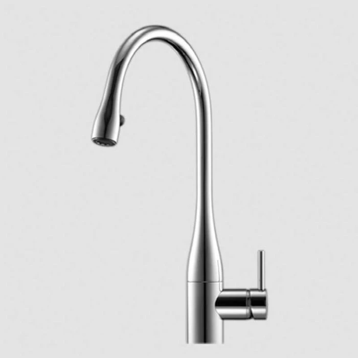Eve Monobloc Kitchen Tap with Pull-Out Aerator