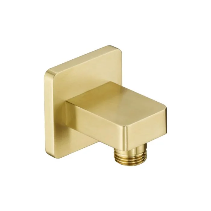 Hix Square Wall Outlet Brushed Brass