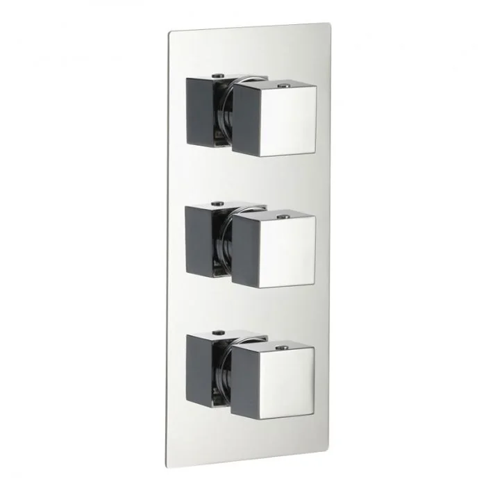 Bloque2 Two Outlet Thermostatic Shower Valve