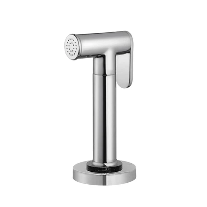 Acquapuro Side Spray Chrome