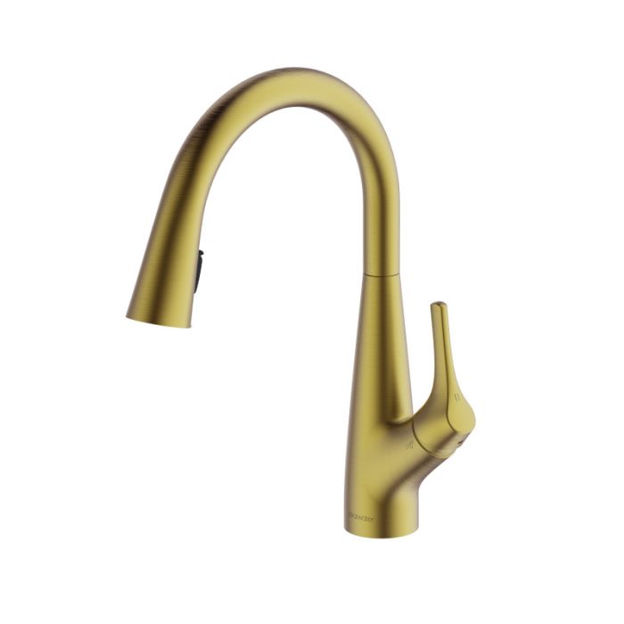 Rosetta Pull Out Spray Filter Mixer Tap Brushed Brass