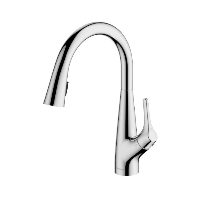Rosetta Pull Out Spray Filter Mixer Tap Chrome
