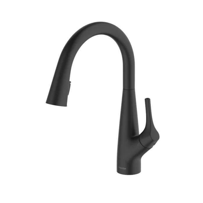 Rosetta Pull Out Spray Filter Mixer Tap Matt Black