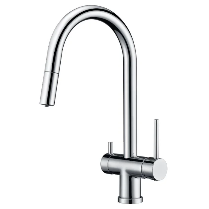 Toledo Mixer and Cold Filter Tap with Pull-Out Spray Chrome