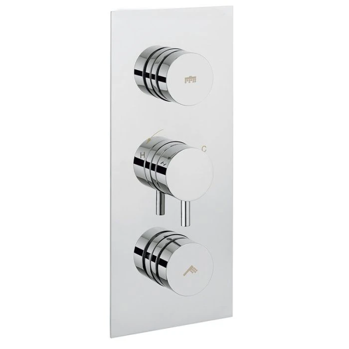 Dial Valve 2 Control with Kai Lever Trim Portrait